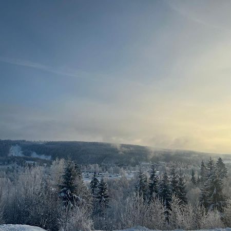 Koselig Rom I Rolige Omgivelser Amot Extérieur photo